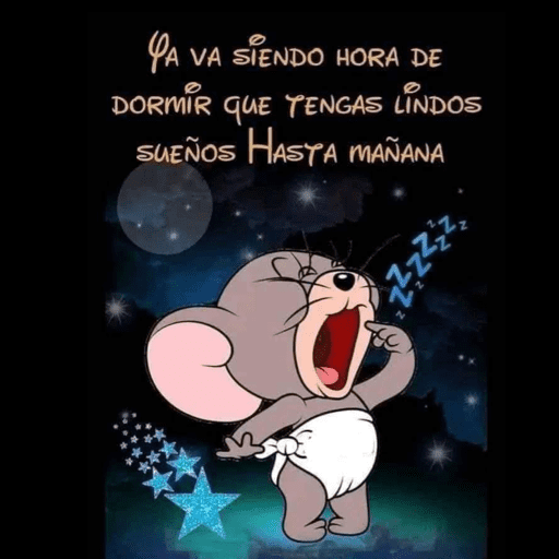 Noche 26