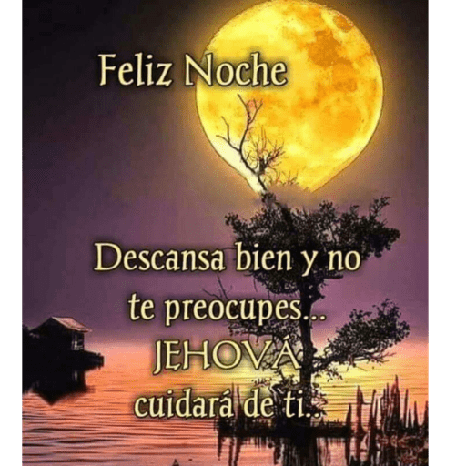 Noche 24