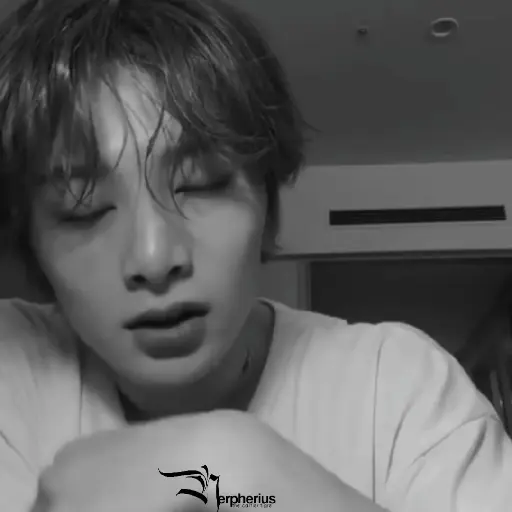 Jeongin.  ⫶  ⎾ @Nerpherius ⏌ 16