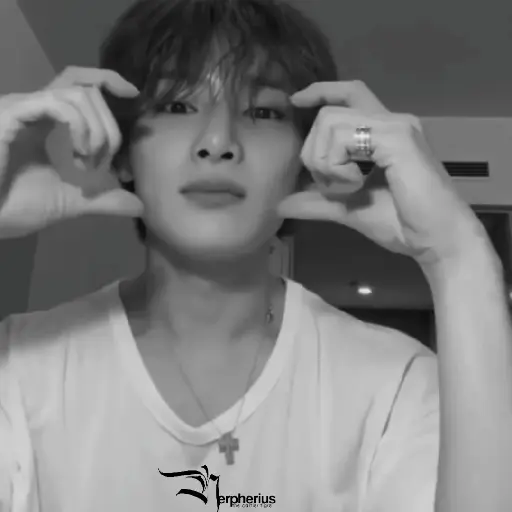 Jeongin.  ⫶  ⎾ @Nerpherius ⏌ 15