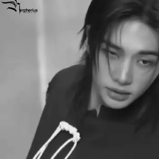 Hyunjin.  ⫶  ⎾ @Nerpherius ⏌ 7