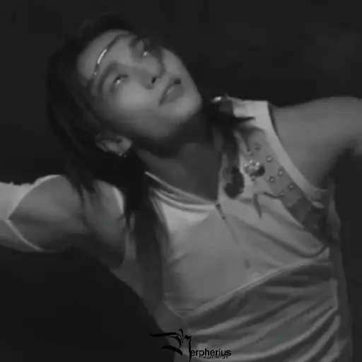 Hyunjin.  ⫶  ⎾ @Nerpherius ⏌ 12