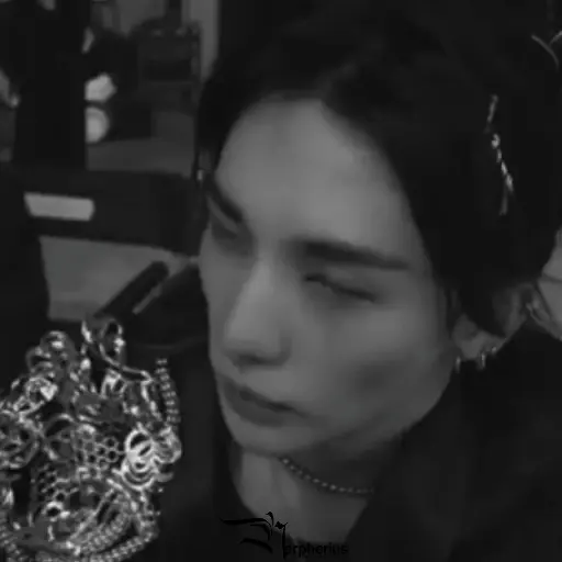 Hyunjin.  ⫶  ⎾ @Nerpherius ⏌ 14