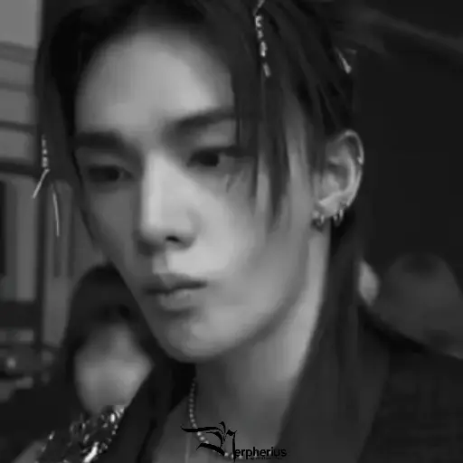 Hyunjin.  ⫶  ⎾ @Nerpherius ⏌ 15