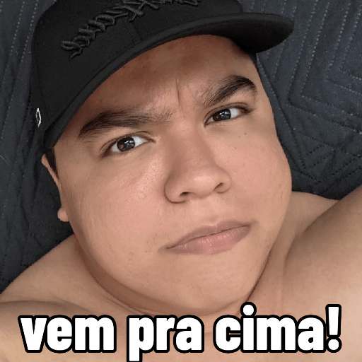 Minhas figurinhas 16