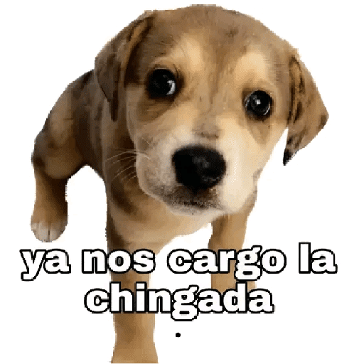 Mis pegatinas 2