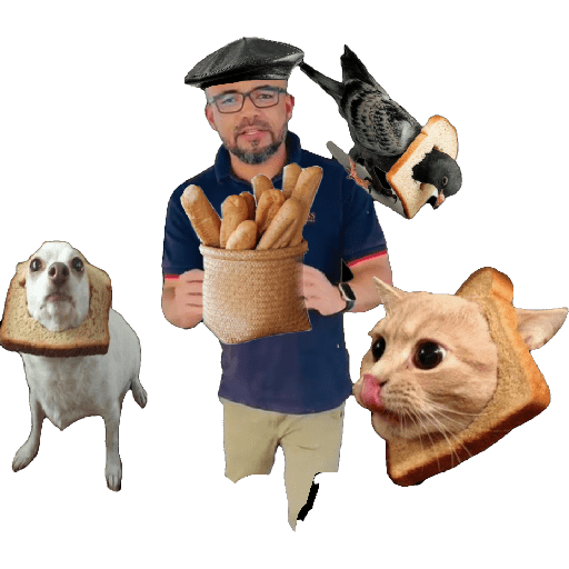 Perdimos  7