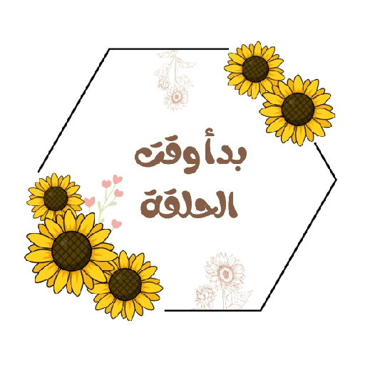 الحلقات