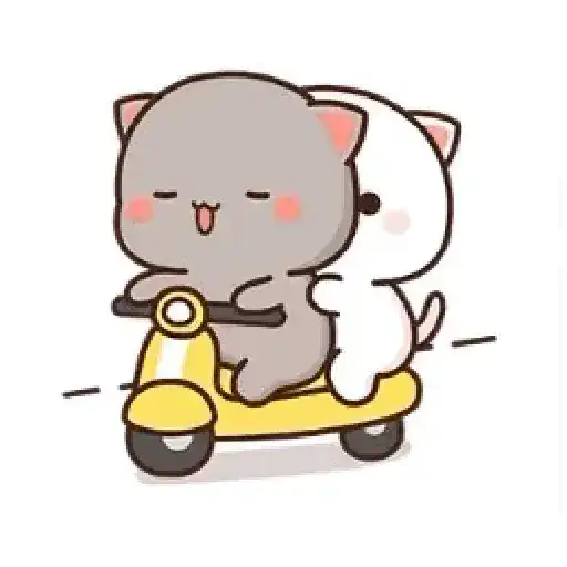 Bubu 19