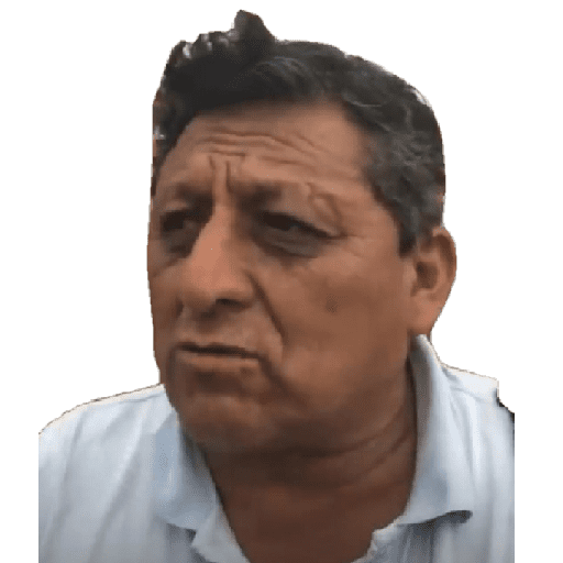 Msldicis
