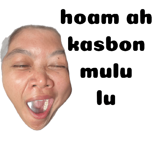 Meme 16