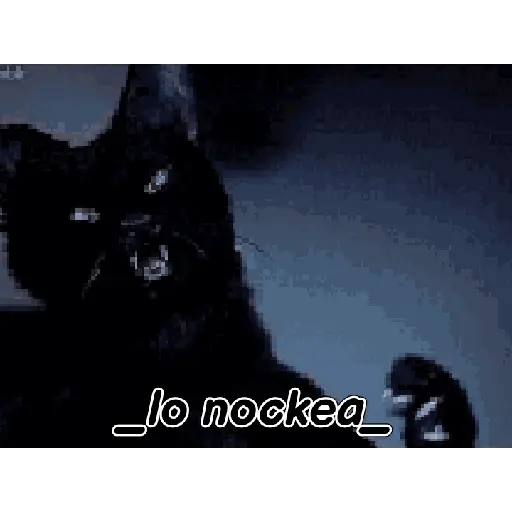 Scary movie 5