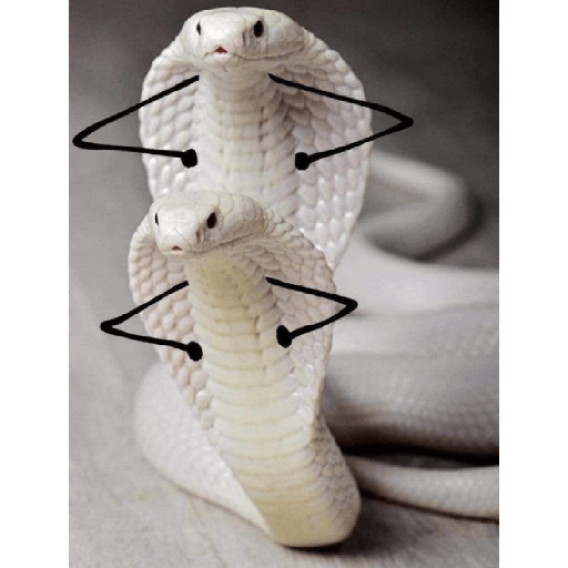 ªªª 17