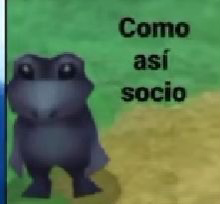 No se