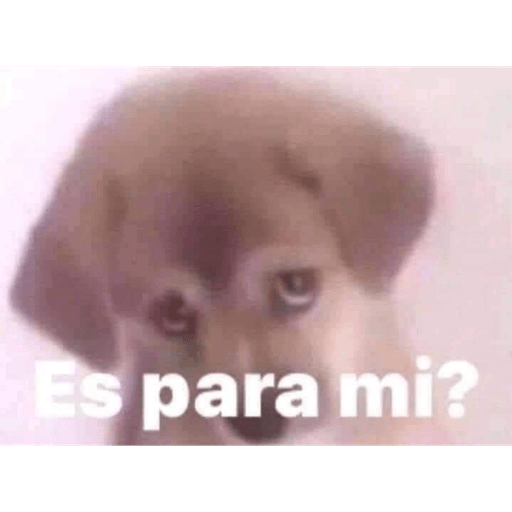 Mis stickers 6