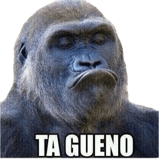 Jajajajajajajajaja2 15