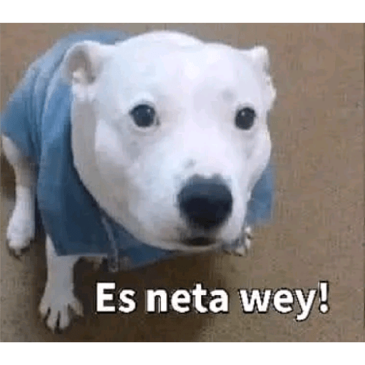 Jajajajajajajajaja2 7