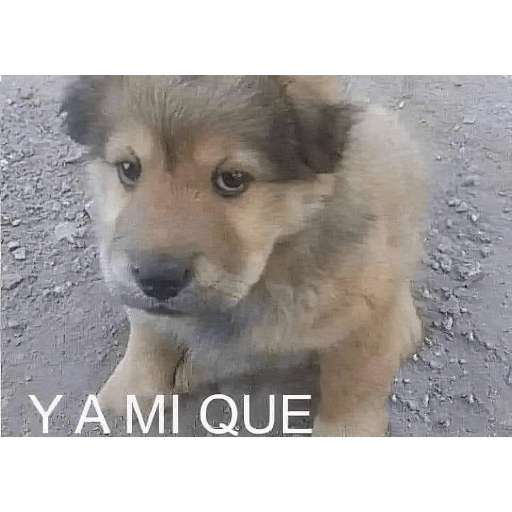 Jajajajajajajajaja2 10