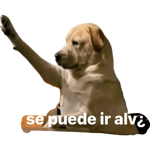 Jajajajajajajajaja2 11
