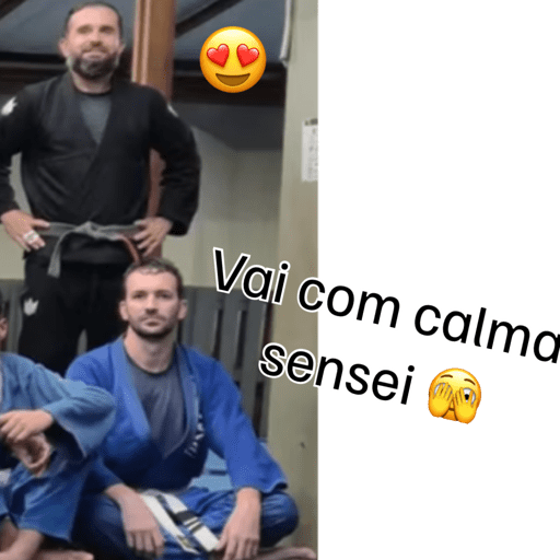 Minhas figurinhas 11