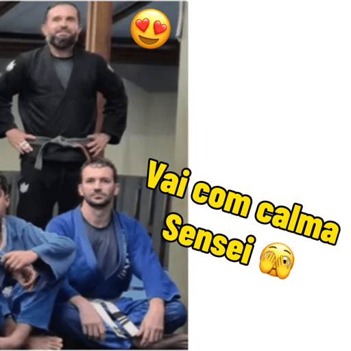 Minhas figurinhas 12