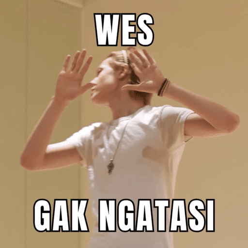 Ngortis 24