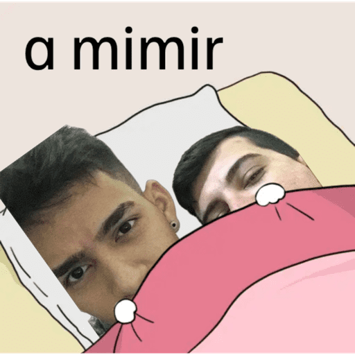 Minhas figurinhas 5
