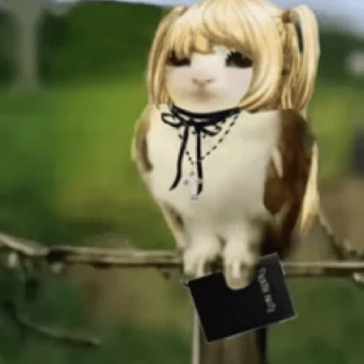 Meowl  11