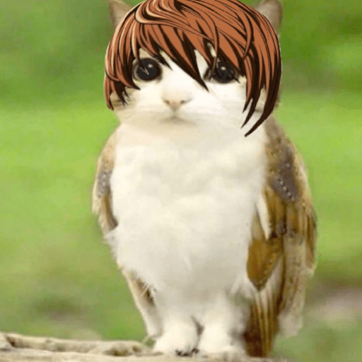 Meowl  10