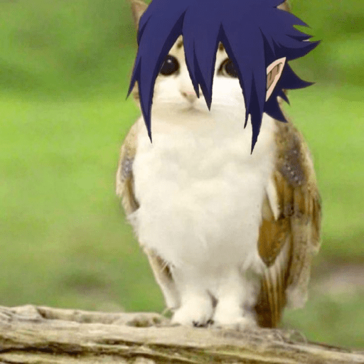 Meowl  7