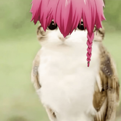 Meowl  3