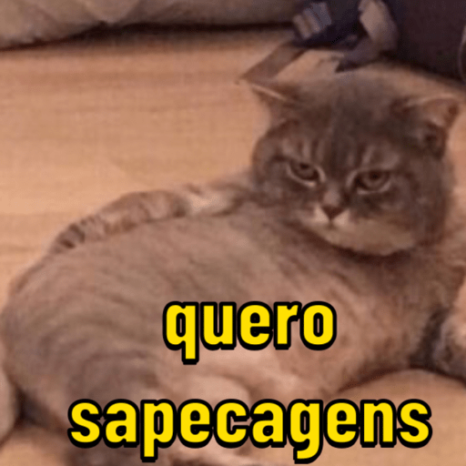 Memes gatinhos