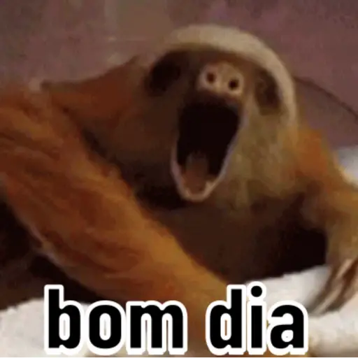 Bom dia 9