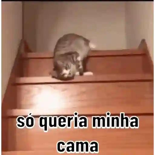 Bom dia 10