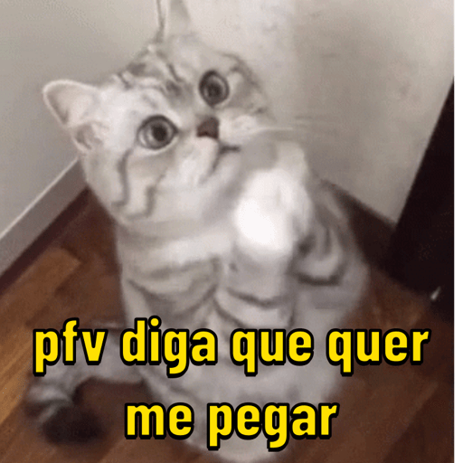 Sapecagens 🔥🔥 11