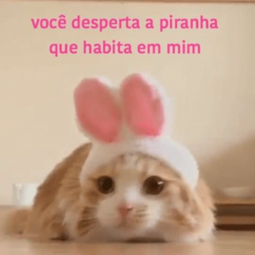 Sapecagens 🔥🔥 2