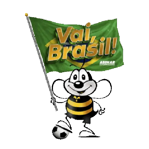 Brasil 5