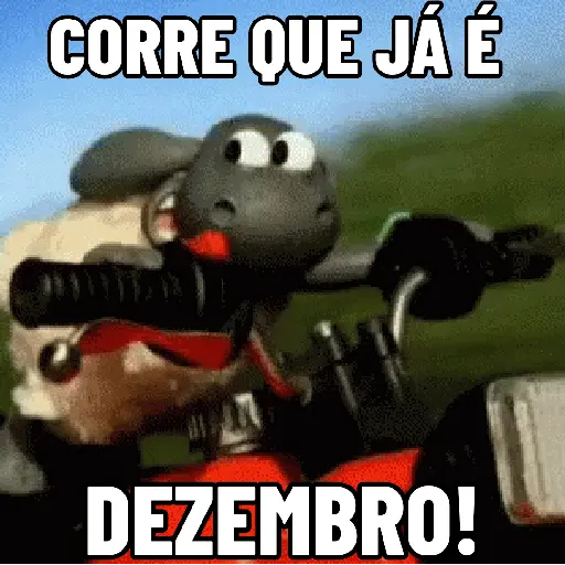 Grupo 16
