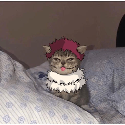 ✨ Charllote katakuri ✨ 10