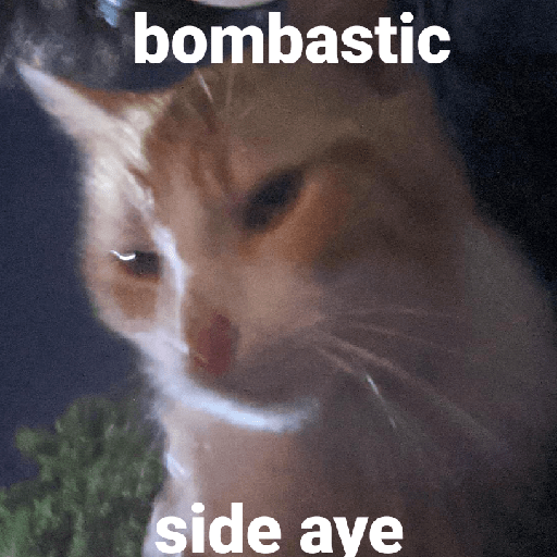 Cato 3