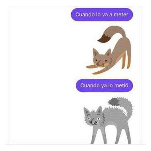 Cato 9