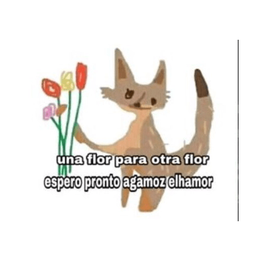Cato 14