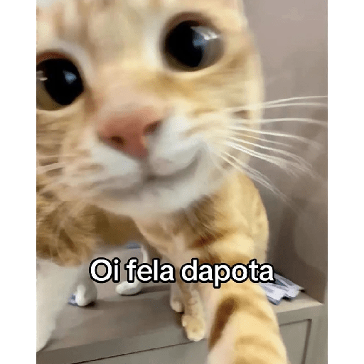 Sobrou tempo vira figurinha  20