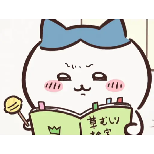 Chiikawa 29