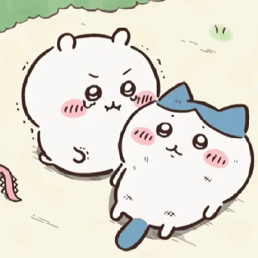 Chiikawa 15