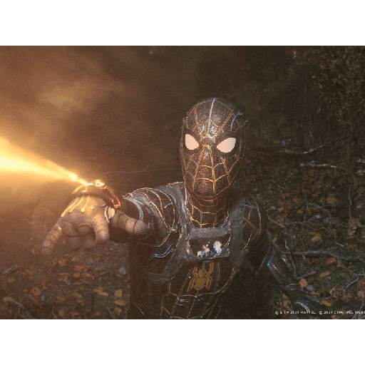 Spider-Man: Sin Camino A Casa 12