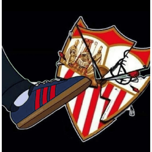 Més que un club 🔵☠️🔴 13