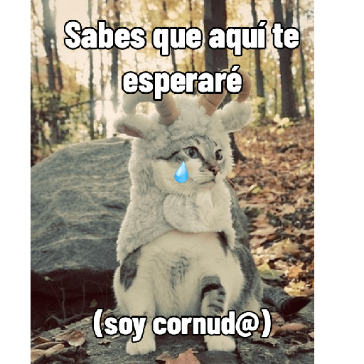 Uwu 7