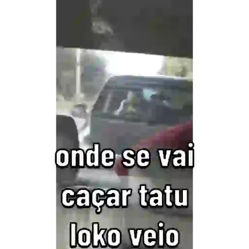 Videoos  12