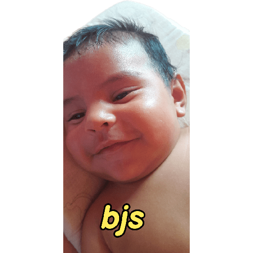 Meu 13
